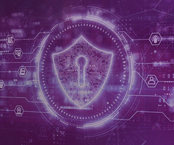 cyberweb-1